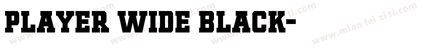 Player Wide Black字体转换